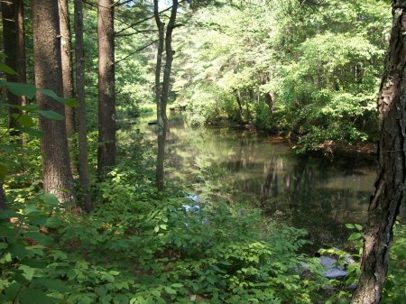 Fly Fishing the Nissitissit River Pepperell, MA