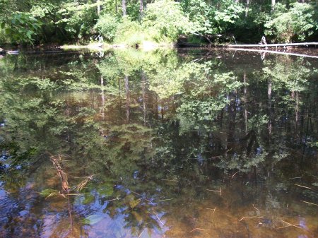 Fly Fishing the Nissitissit River - Reflections