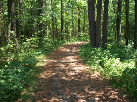 Henry Colombo Fly Fishing Section Path to River