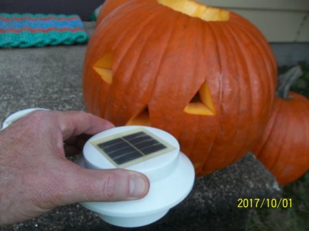Solar Pumpkin Design